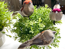 Load image into Gallery viewer, Set of 4 x 11cm Feather Bird Decorations with Clip for home decoration