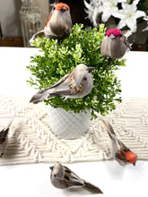 Load image into Gallery viewer, Set of 4 x 11cm Feather Bird Decorations with Clip for home decoration